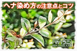 ヘナ染め方の注意点とコツ
