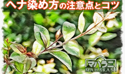 ヘナ染め方の注意点とコツ