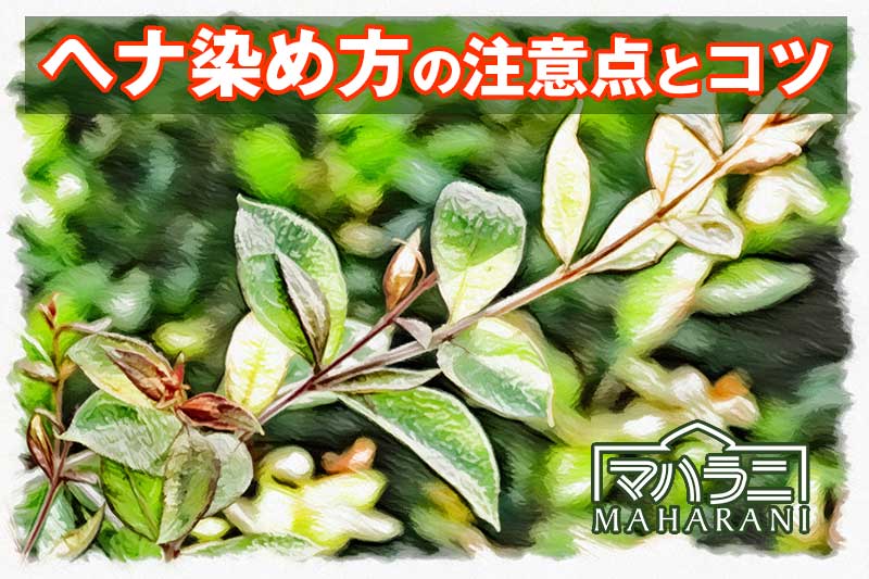 ヘナ染め方の注意点とコツ