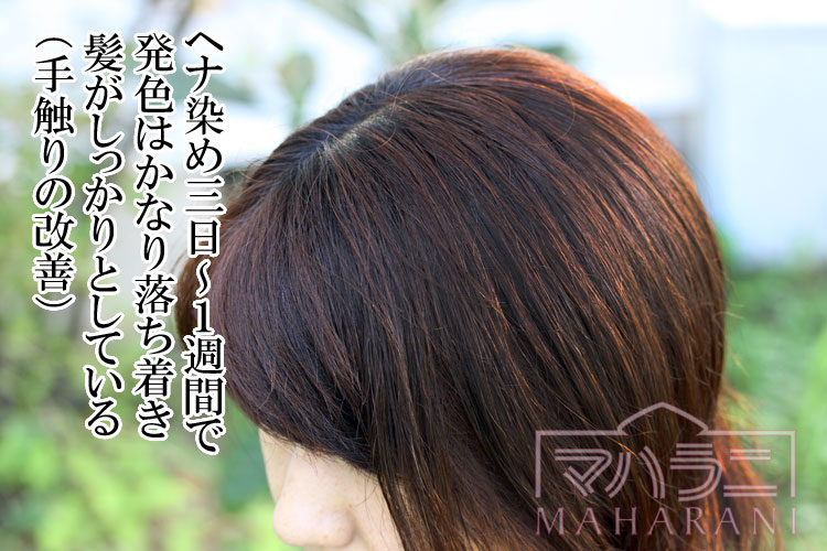 傷んだダメージヘアにヘナをした三日後の様子