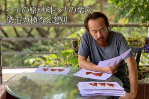 ヘナの選別を行う弊社代表