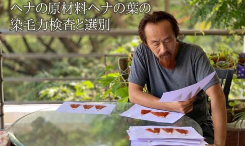ヘナの選別を行う弊社代表