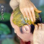 ヘナのテスト使用