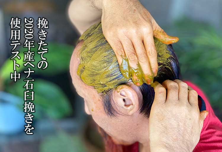 maha21 | マハラニヘナ最新 ヘナのテスト使用