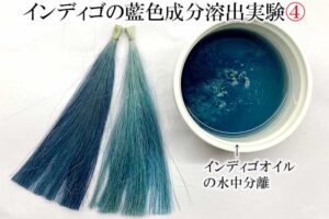 インディゴ染毛力
