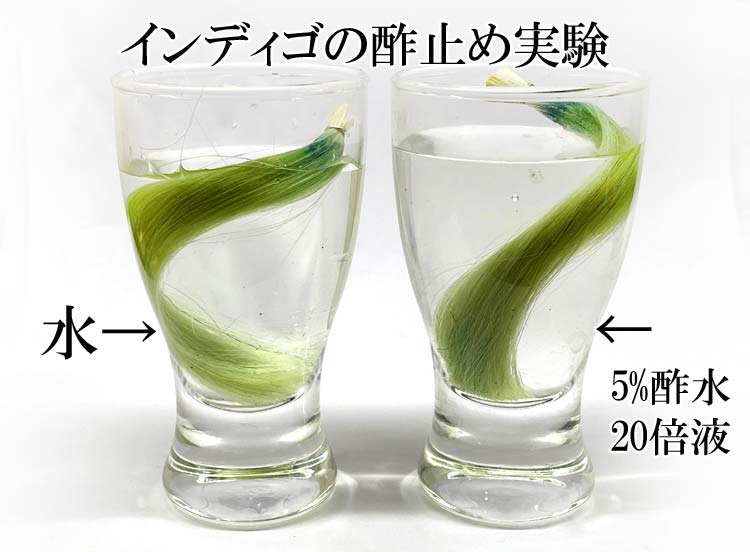 インディゴの酢止め実験