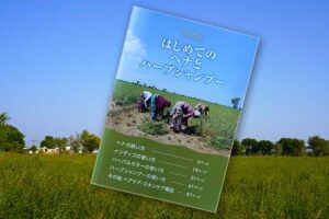はじめてのヘナとハーブシャンプー