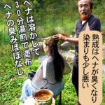 ヘナは長時間寝かせて熟成させると染毛力が減衰する