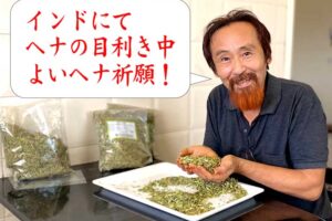 ただいまヘナの葉の目利き中！
