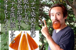 ヘナで溶かした後ヘアドライヤーを使うと