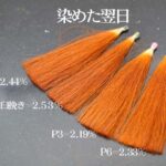 ヘナの染まり比較