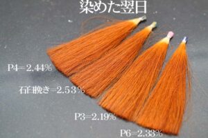 ヘナの染まり比較