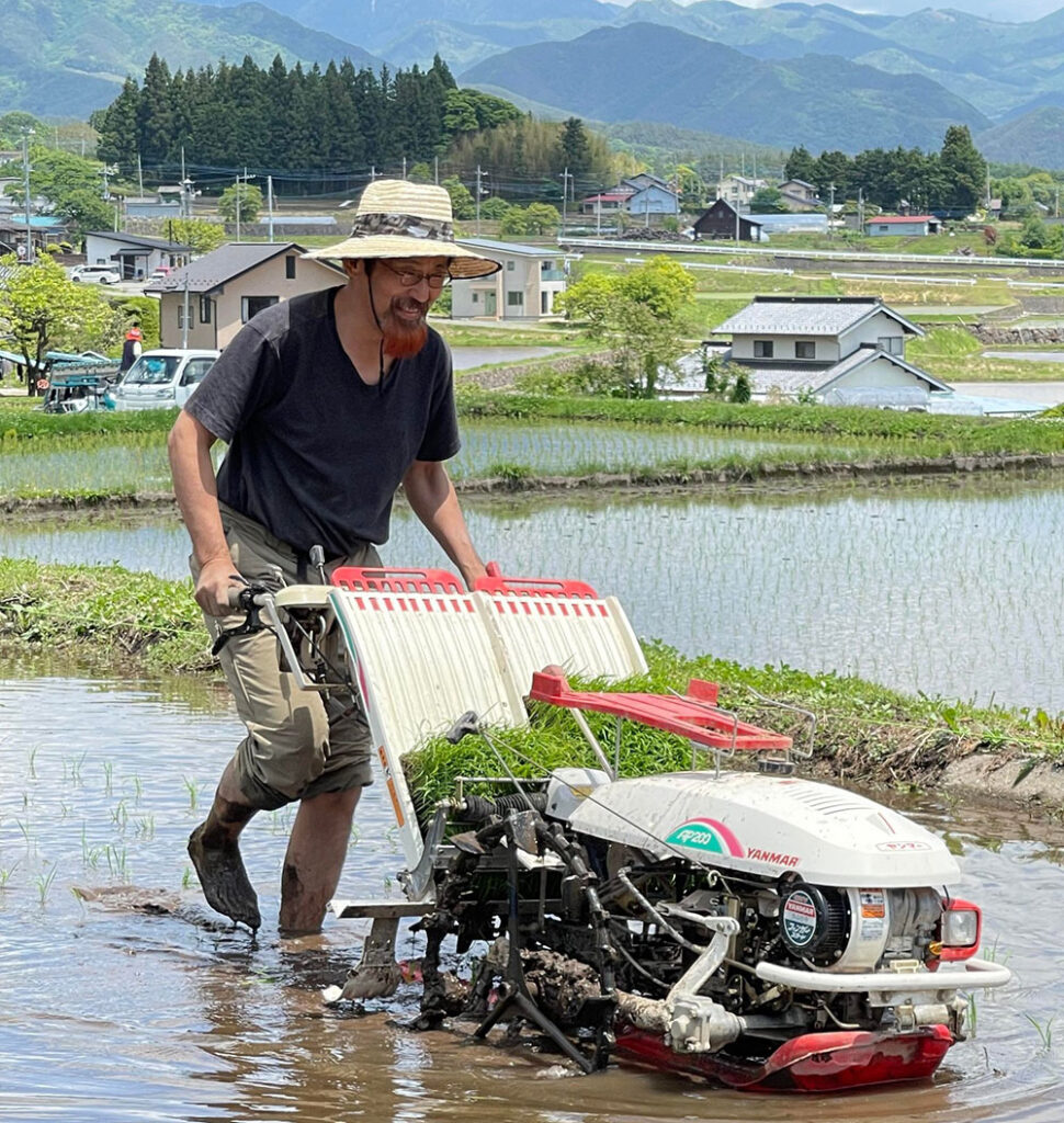 田植え