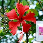 ハイビスカス配合