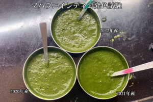 マハラニインディゴ