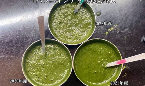 マハラニインディゴ