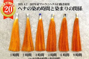 ヘナの染め放置時間と染まりの関係