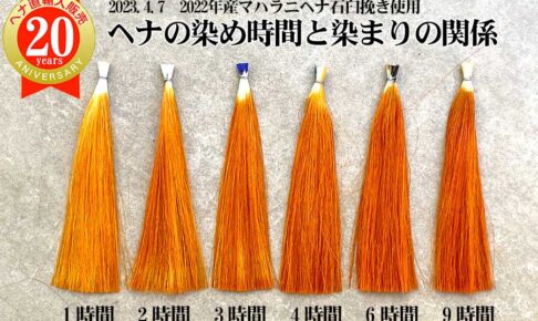 ヘナの染め放置時間と染まりの関係