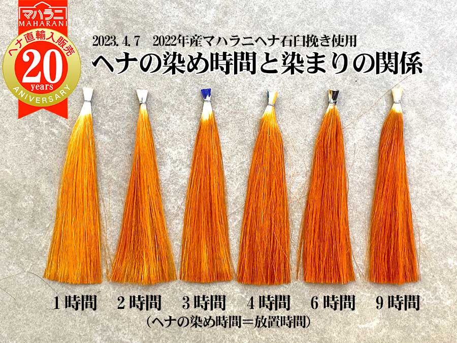 ヘナの染め放置時間と染まりの関係