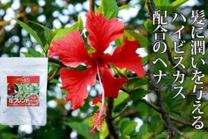 カラートリートメント花ブレンド
