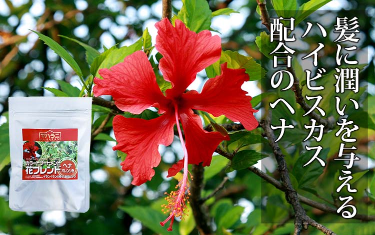 カラートリートメント花ブレンド