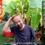 ヘナは湯煎してから塗りましょう