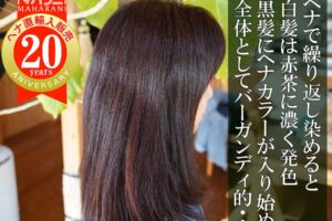 ヘナカラーが綺麗に入る