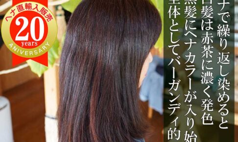 ヘナカラーが綺麗に入る