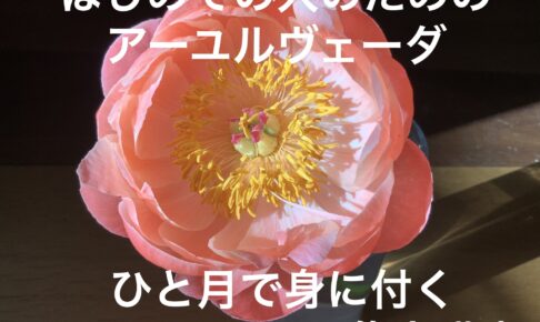 はじめての　アーユルヴェーダ！