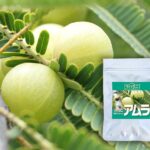 マハラニ アムラ 髪にハリとコシをつける