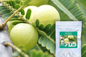 マハラニ アムラ 髪にハリとコシをつける