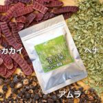ハーブシャンプー香る髪ベーシック