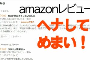 ヘナしてめまい！