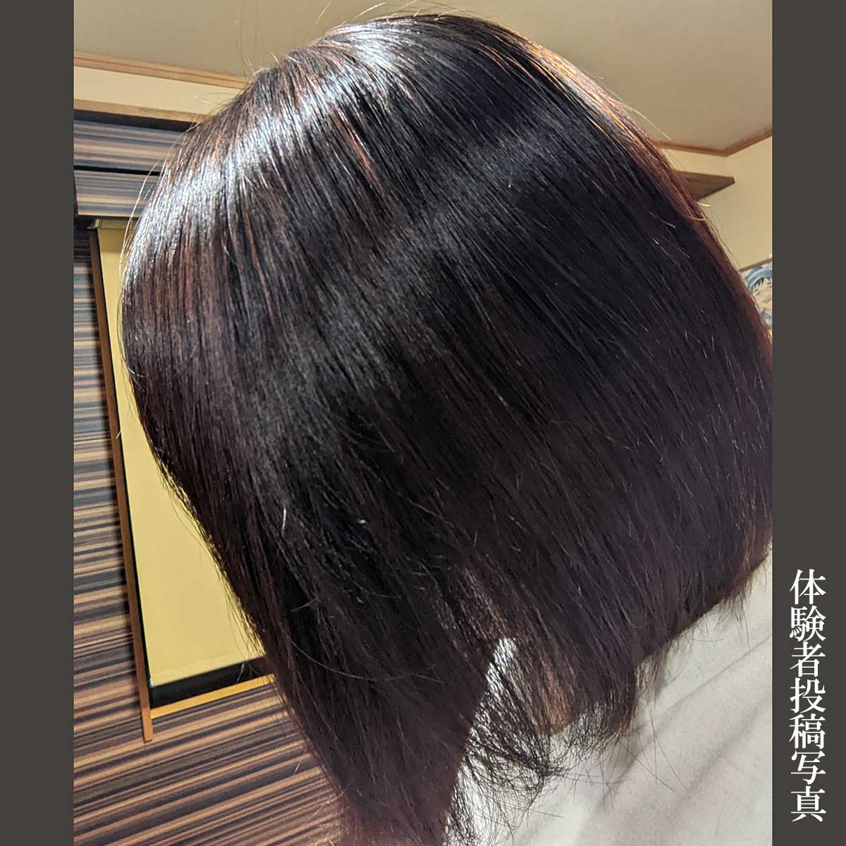 まるで鏡面