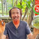 ヘナ石臼挽きを溶かす