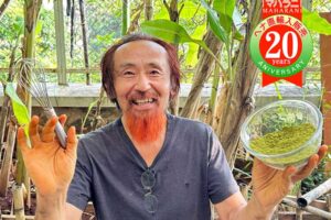 ヘナ石臼挽きを溶かす