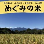 めぐみの米