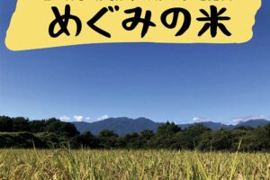めぐみの米