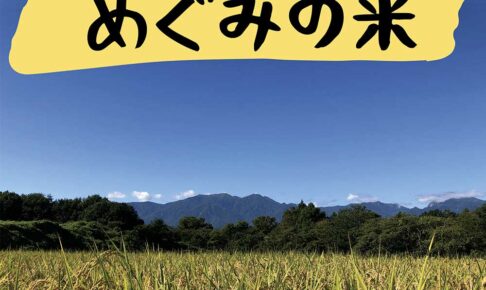 めぐみの米