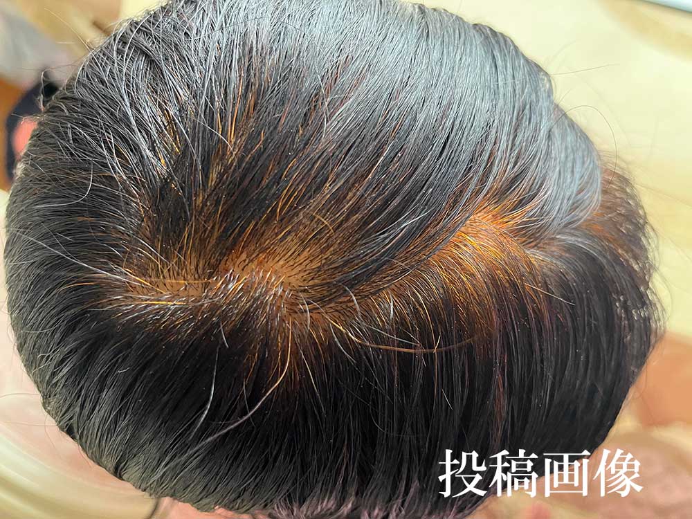 投稿画像