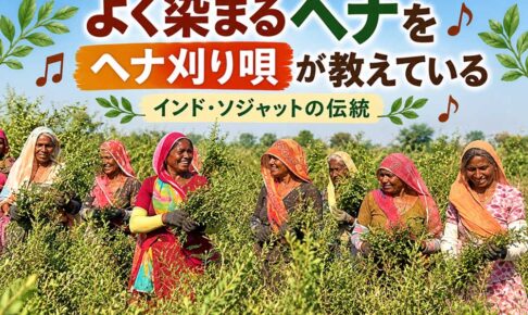 よく染まるヘナをヘナ刈り唄が教えている！