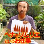 ヘナのソムリエというお仕事
