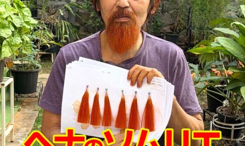 ヘナのソムリエというお仕事