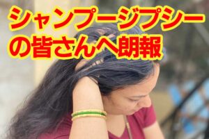 シャンプージプシー