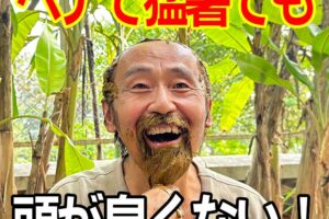 ヘナで猛暑でも頭が臭くない