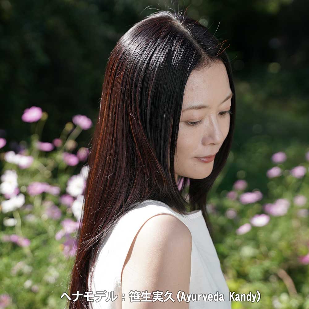 ヘナモデルささおみく